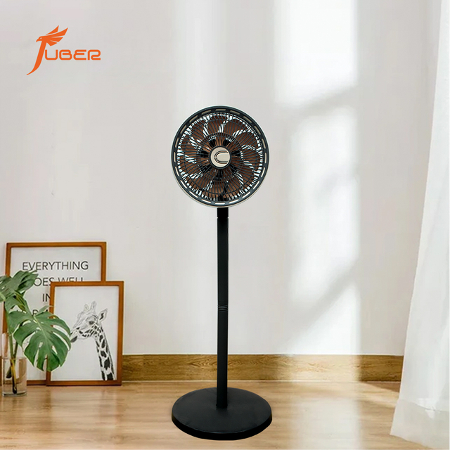 FS-40-J10 Standing Fan for Home